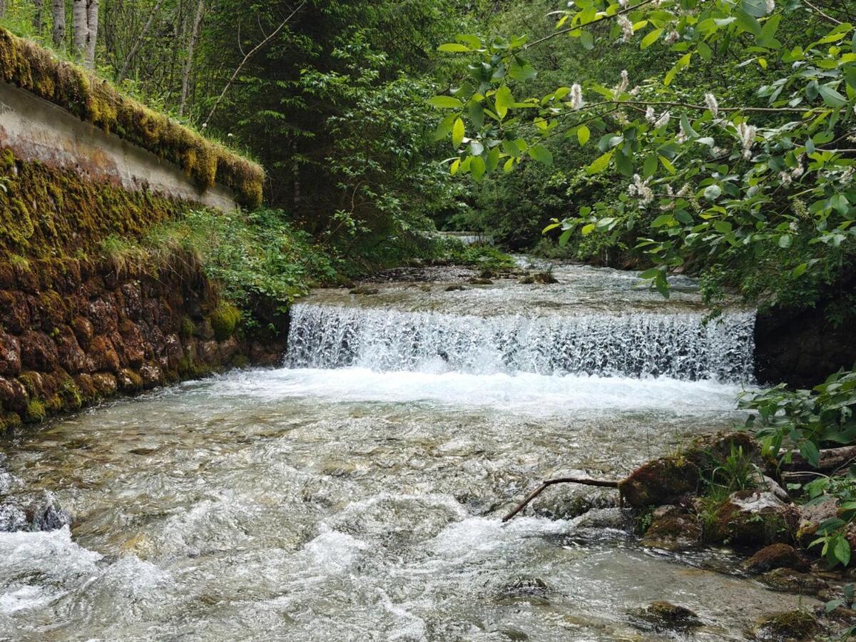 Idyllic Mountain Huette -Gesaeuse Nationalpark Villa Landl  Ngoại thất bức ảnh