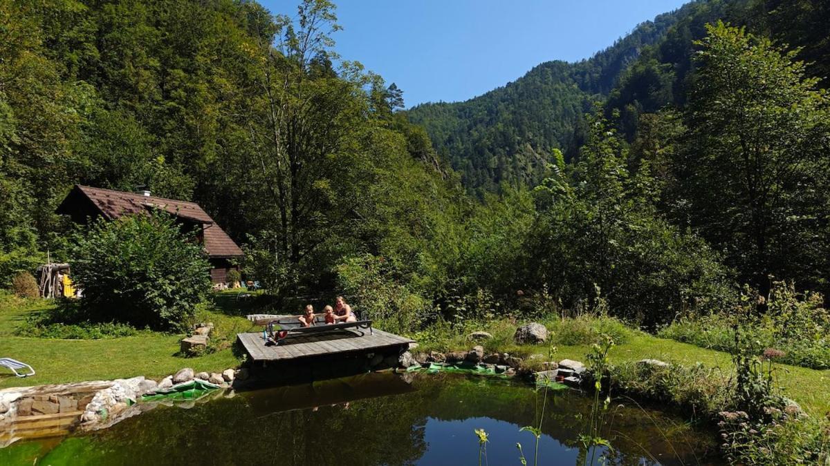 Idyllic Mountain Huette -Gesaeuse Nationalpark Villa Landl  Ngoại thất bức ảnh